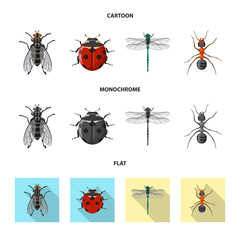 Vector illustration of insect and fly logo. Set of insect and element stock vector illustration.