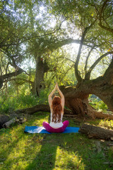 junge reizende rothaarig langhaarige sexy Frau in Rückenansicht macht Yoga Übungen mit Hände und Gesicht nach oben in der Natur im Wald in Sportkleidung im Gegenlicht.