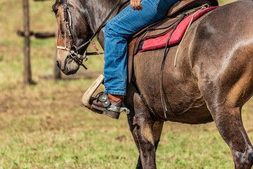 Lovely crafted belt and knife carrier and brown leather saddle, american cowboy warming up before rodeo performance on new ranch. Sunny event, United States national culture.