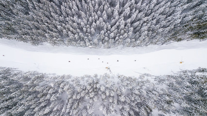 Aerial view of the ski slope in the mountains where skiers ride