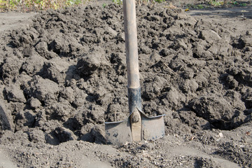 Gardener digs soil for planting plants