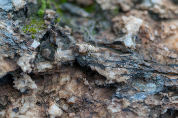 Close-up of rocks, salt and minerals. Shallow depth of field.