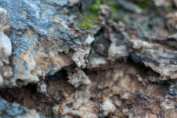 Close-up of rocks, salt and minerals. Shallow depth of field.