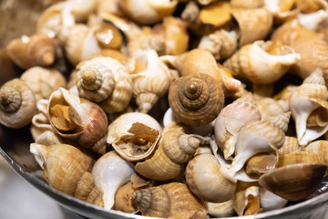 seafood babylonia areolata or Spotted babylon on the ice, Seafood on ice