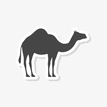 Camel icon silhouette sticker