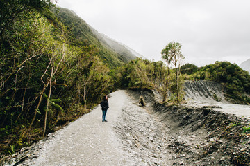 franz josef glacier