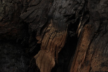 texture, stone, rock, bark, wall, tree, nature, abstract, pattern, rough, brown, textured, old, wood, material, backgrounds, surface, macro, natural