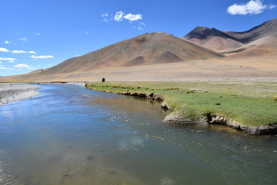 Tibet, China. Tibetan plateau,  river Ind in the summer