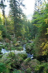Obraz premium TBaden-Wurttemberg, Germany-October 12, 2018: Triberger Waterfall, the highest waterfall in Germany, in Black Forest