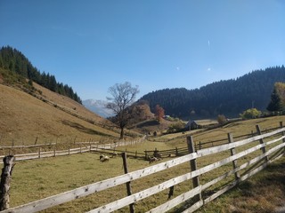 Autumn View in the Mountain Village 