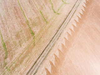 Texture in the country, Saint-Cyr-les-Colons, Yonne, Bourgogne-Franche-Comte, France