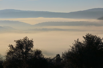 Au brume matinal