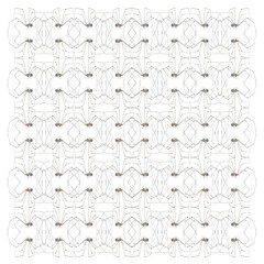 Spider, Holocnemus pluchei, in repeated pattern, in front of white background