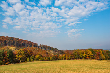Fototapeta premium Herbstlandschaft mit Wolken im Burgenland (A)
