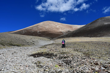 Summer landscape at an altitude of more than 5000 meters. On the way to the source of Ind river in Tibet