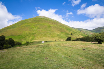 Obraz premium scenic landscape hill in Iraty mountains in summertime blue sky , basque country, france