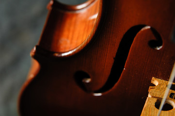 violon musique bois cordes