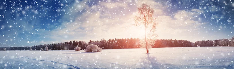 Photo sur Plexiglas Arbres Beaux arbres dans le paysage d& 39 hiver tôt le matin dans les chutes de neige