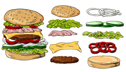 hamburger vector illustration, isolated, menu, loaf of bread with stuffing and sesame seeds