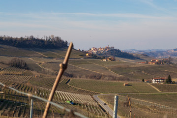 Langhe invernal view and  grapevine