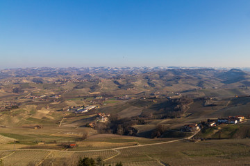 Langhe invernal view and  grapevine