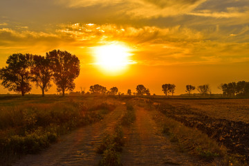 Obraz premium sunset in countryside