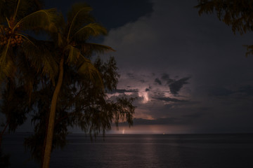 Storm. Heavy clouds, thunderclouds. Thunder. Bad weather. Tropical rainstorm. Rain. Lightning. Coconuts on a palm tree. Palm trees in Thailand.