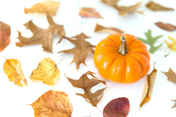Pumpkin with autumn leaves isolated on white background