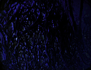 Abstract Slime Web Background