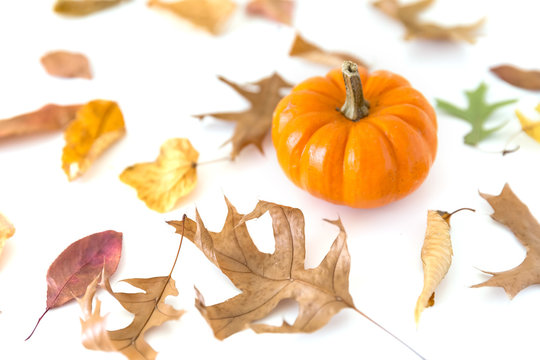 Pumpkin with autumn leaves isolated on white background