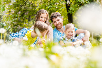 Fototapeta premium Family sitting on a meadow in summer or spring amidst dandelion flowers