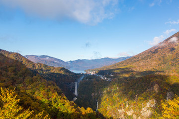 Naklejka premium 紅葉