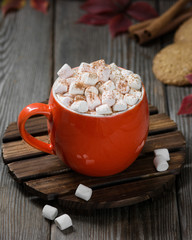 Cocoa in an orange cup with marshmallows