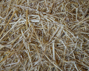 Straw on a pile in a warehouse