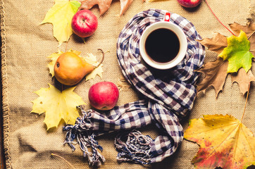 autumn background, apples, pear