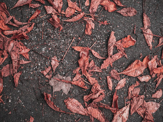 Background with leaves laying on the gravel pavement