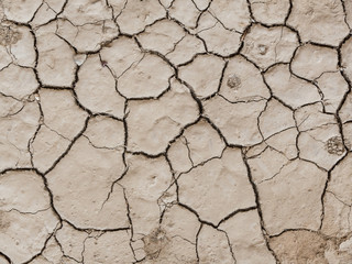 Risse in getrocknetem Schlamm 