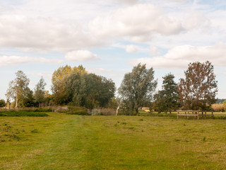 Fototapeta premium Dedham summer day special grassland greenery scene landscape nature natural