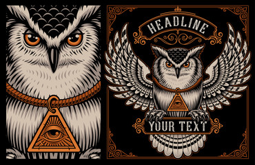 Vector illustration of Owl on the dark background.