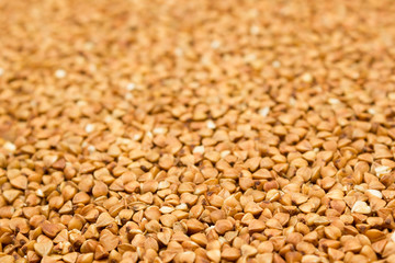 Dry buckwheat grains - brown texture