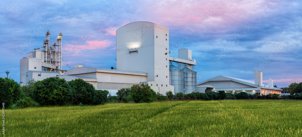 Wall mural Agricultural Silos - Building Exterior, Storage and drying of grains, wheat, corn, soy, sunflower against the blue sky with rice fields.