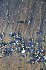 Close-up of pebbles in the sunlight on sandy beach