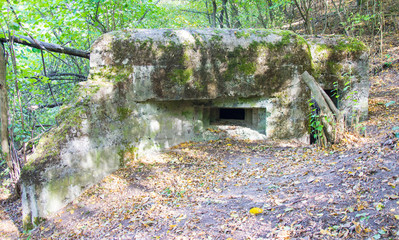 Polish field fortifications from the Second World War.
