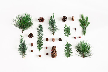 Fototapeta na wymiar Christmas composition. Coniferous tree branches on white background. Christmas, winter, new year concept. Flat lay, top view