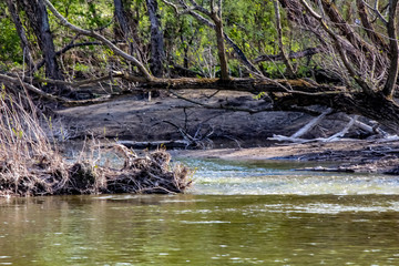 Marshy Shores of the Grand River in Caledonia Ontario, Canada
