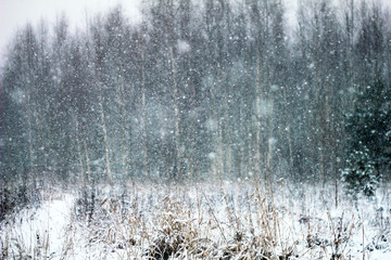 snowfall with big white snowflakes in the air on winter bokeh background. Winter wonderland concept