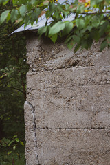 Close up of a cement wall of an old building in a forest.