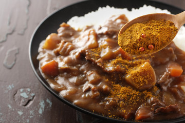 カレーライス　スパイス