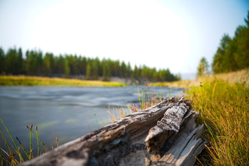 River In Yellowstone National Park