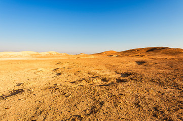 Whimsical Patterns of the Desert